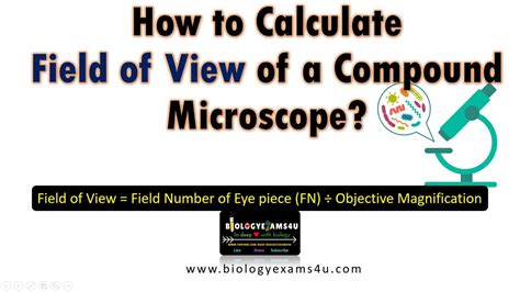 How to Estimate the Field of View of a Microscope.